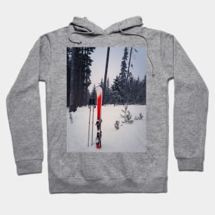 Pair of skis Hoodie